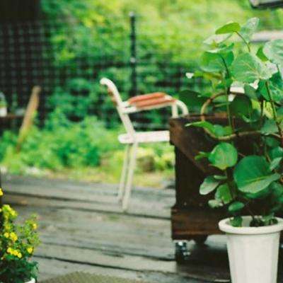 押注篮球的app手机app下载截图