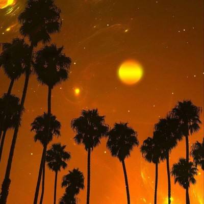 押注篮球的app手机app下载截图