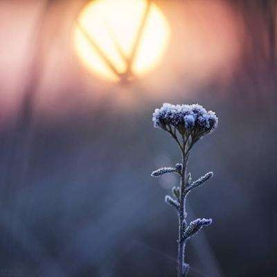 好运彩下载手机版