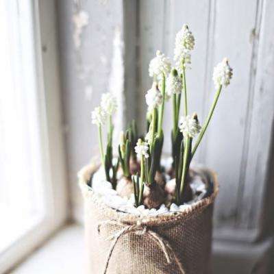 金博宝下载手机版