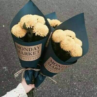 好彩网下载手机版