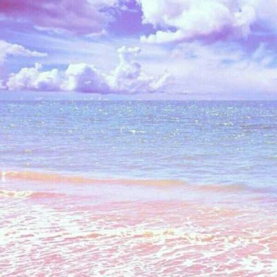 bte365真正的网站