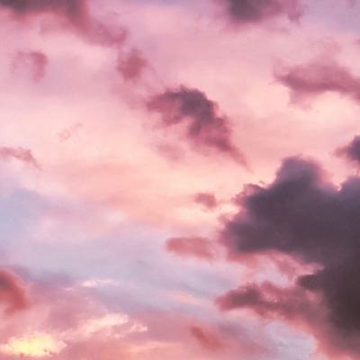 押注篮球的app手机app下载截图