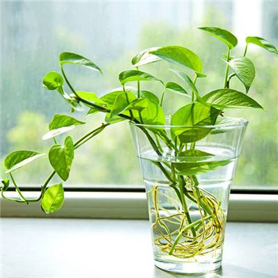 196体育(官方)APP下载安装app下载