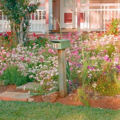 足球游戏app下载